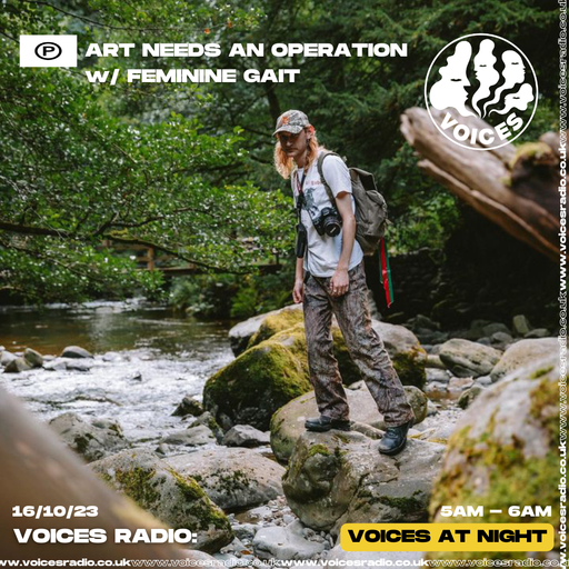 Art Needs An Operation  w/ Feminine Gait - 16/10/23 - Voices Radio