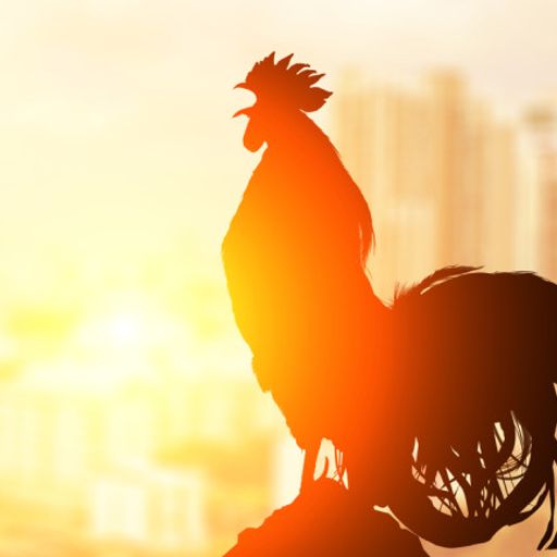 DJ Rooster Tribute Mix 28-08-2020