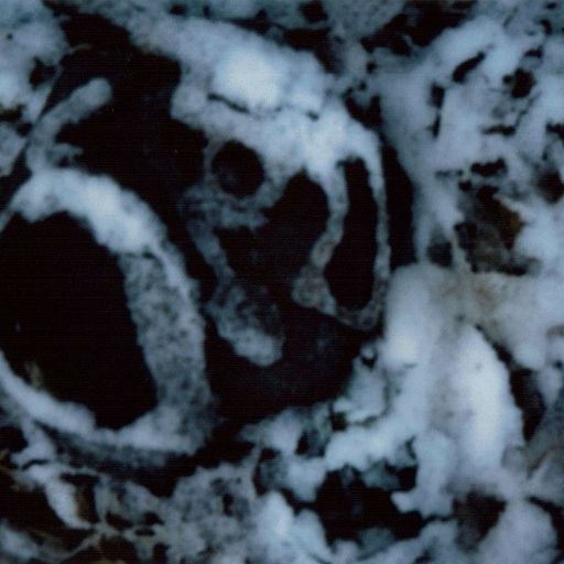 A Month of Sundays w/ Bill Spencer - 23rd November 2025