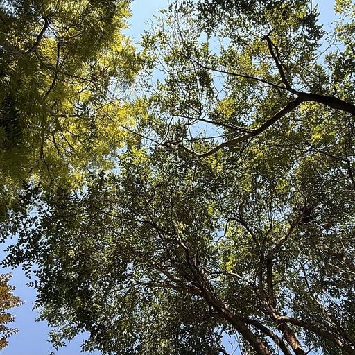 smoothbrain w/ being - 29th December 2025