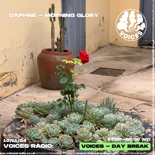Morning Glory w/ Daphne - 10/11/24 - Voices Radio