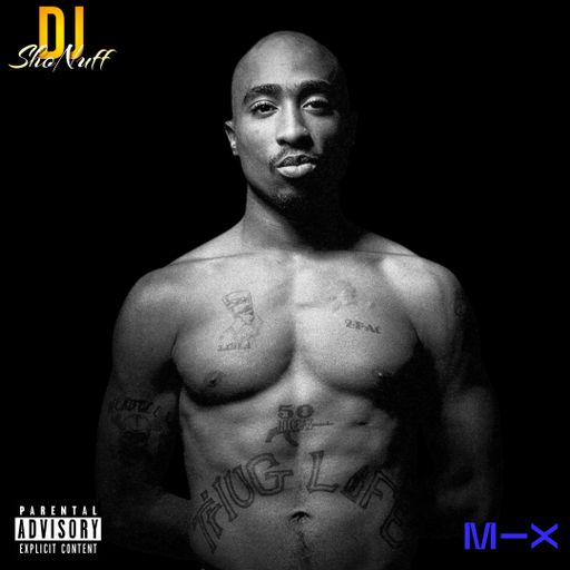 THE 2PAC EXCLUSIVE MIX 4SHO