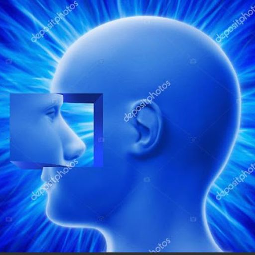 Let me see Inside you