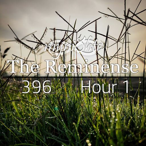 The Reminense 396 - Hour 1