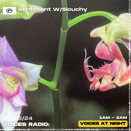 Sentiment w/ Slouchy - 22/06/24