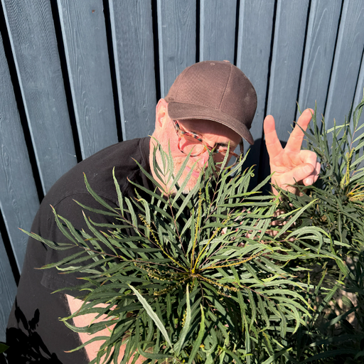 The Heavy Grooves Show w/ Leo Zero 097 19/03/26 - [Voices Radio]