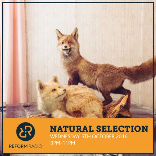 Natural Selection 5th October 2016