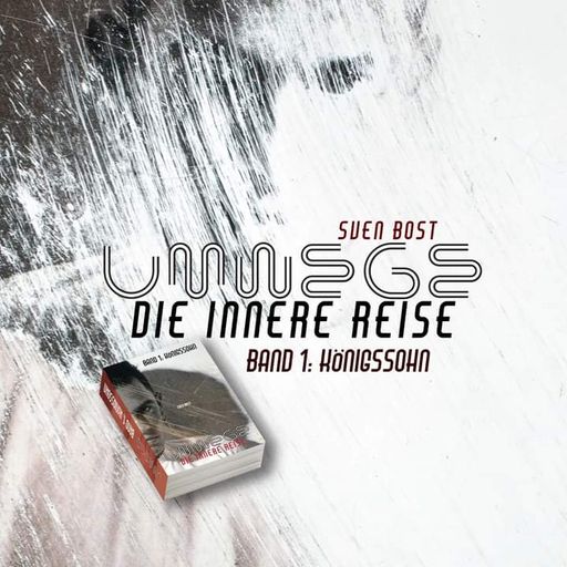 Buchvorstellung von Sven Bost,