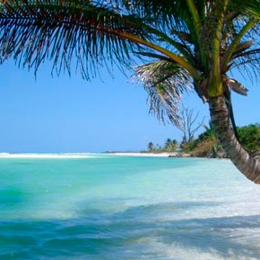 The Probe (EclecticDeep)