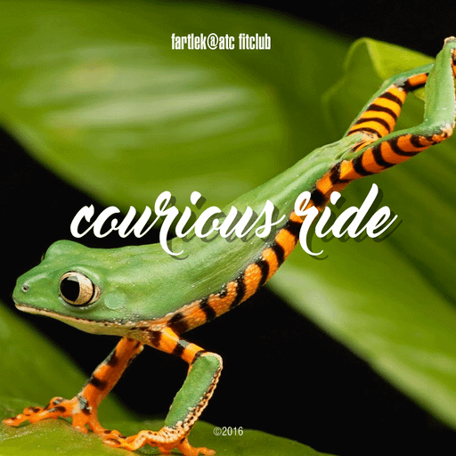 couriousride