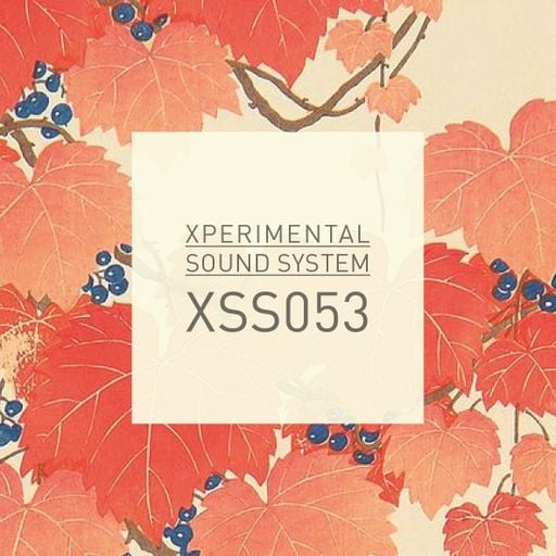 Xperimental Sound System: XSS053 / Cubo