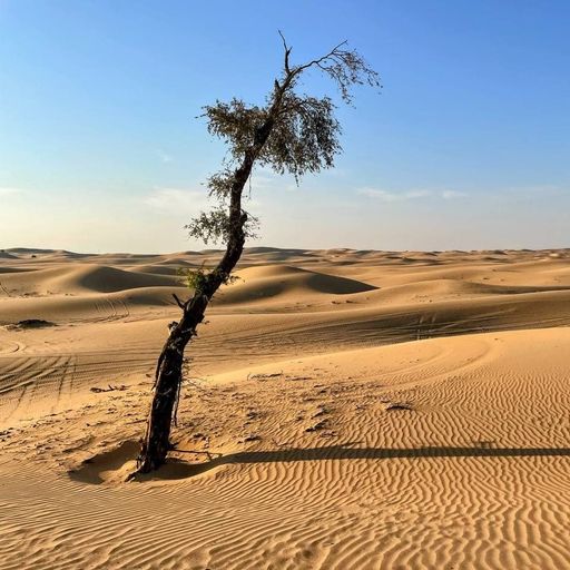 Time to Listen - by Peter van Cooten of Ambientblog