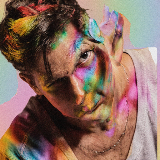 Torn Hawk - 8th September 2025