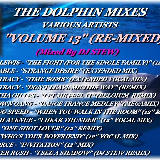 THE DOLPHIN MIXES - VARIOUS ARTISTS - ''VOLUME 13'' (RE-MIXED)