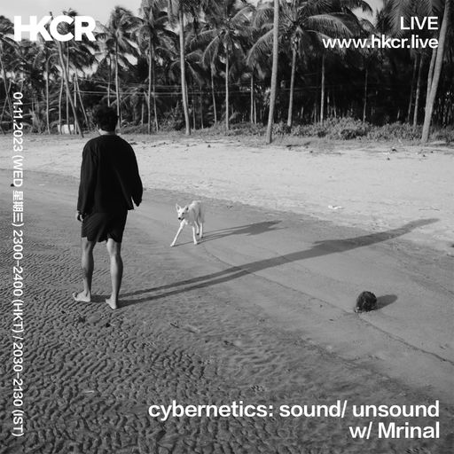 cybernetics: sound/ unsound w/ Mrinal - 01/11/2023