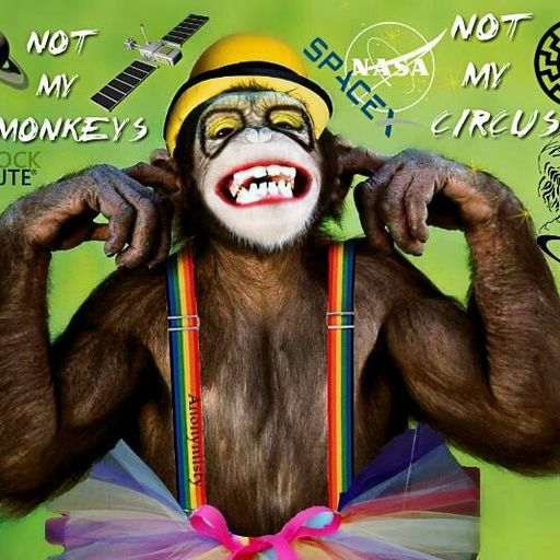 Monkey Circus