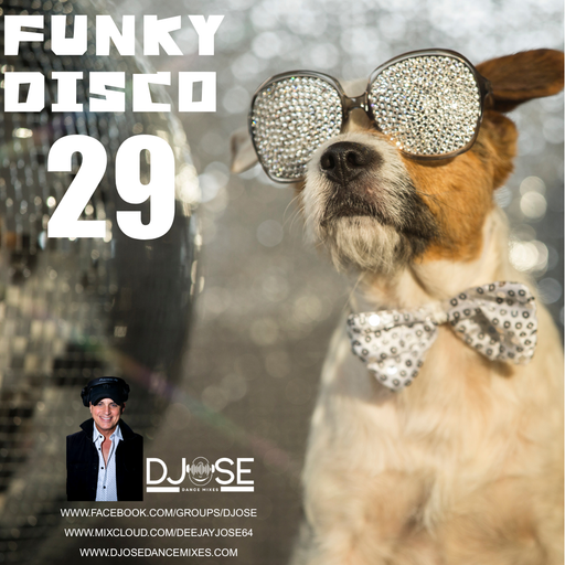 Funky Disco House Sessions Mix 29