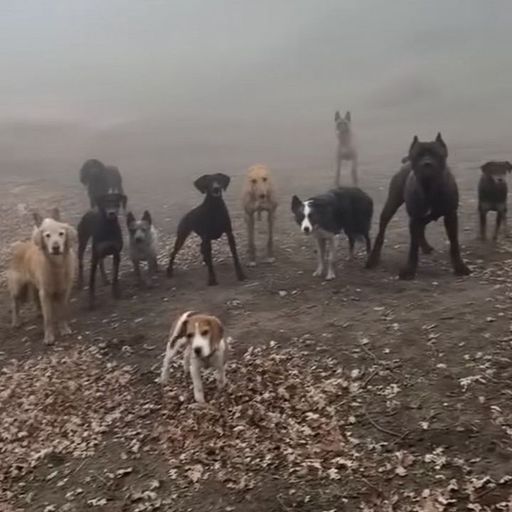 BLOOMING IN FILTH W/ USER2222 - 7th January 2026