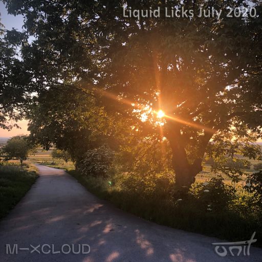 Liquid Licks July 2020