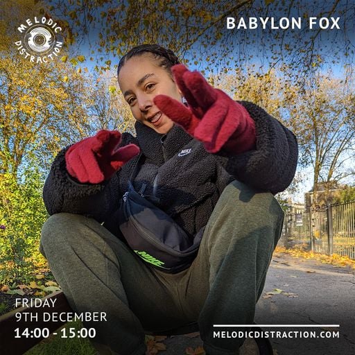 Babylon Fox (December '22)