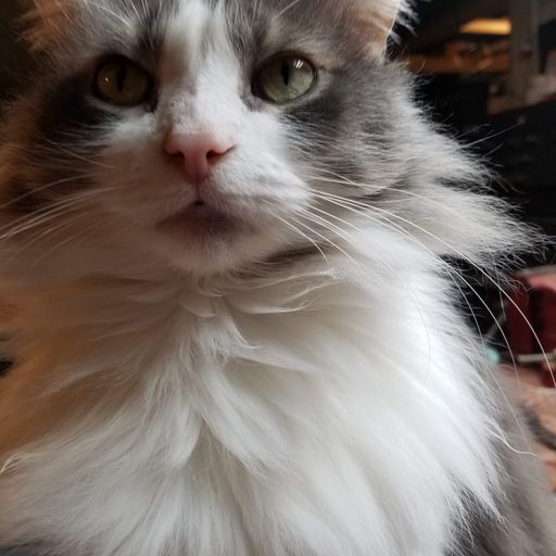 Brother Love's Deep Grooves from the Grove presents : Lucy's Jam