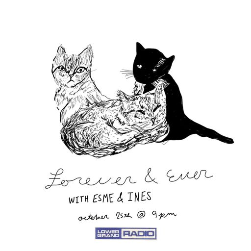 forever & ever vol XII