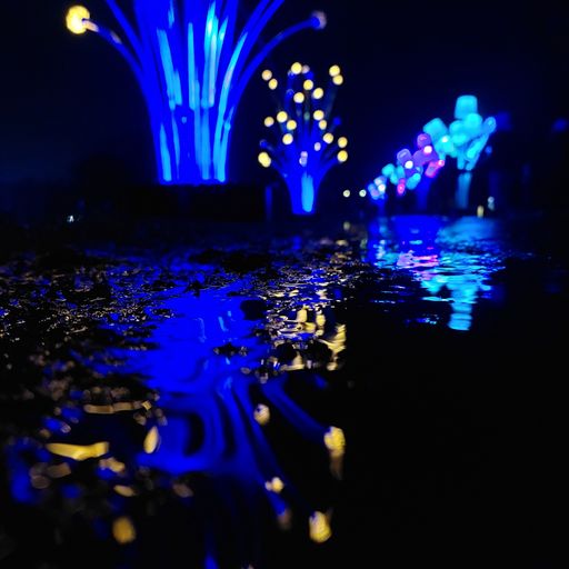 Bank holiday psy (08/05/23)