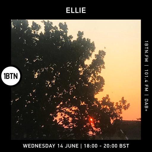 Ellie - 13.06.2023