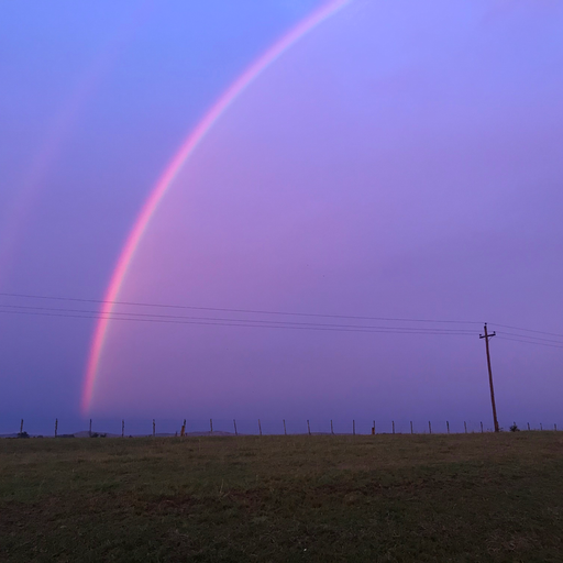 Spectrums: Cosmo Sofi // 08-04-21