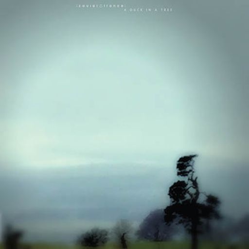 A Duck in a Tree - 15 November 2025 (The Placement of the Wrong Chorus)