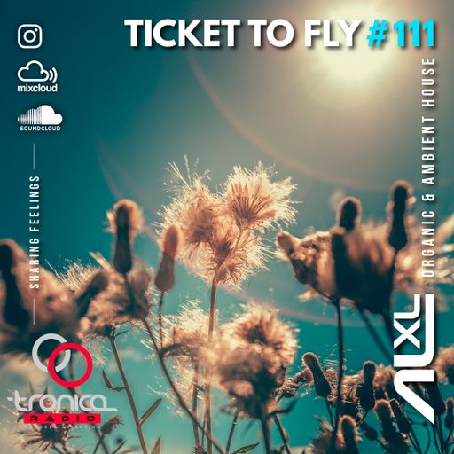 TICKET TO FLY #111 DEC 2024 (Organic House) - Exclusive Session for RadioTronica (AR)