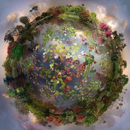 Web Of Life