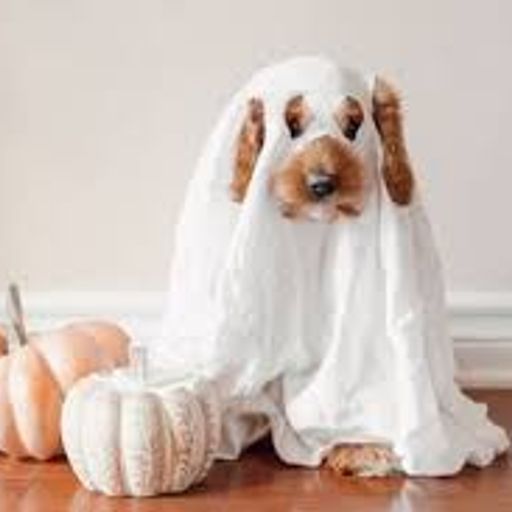 Big Jalogûin Gûiquender for toohotradio.net soundscapes curated by Wasabi