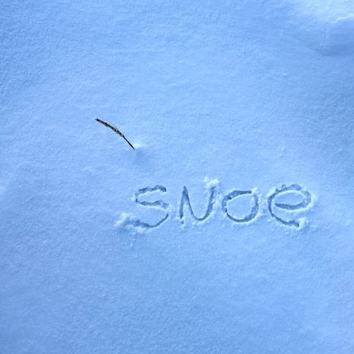 Snoe guest mix (SL#41)  