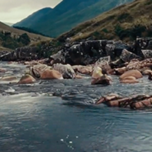 Midi Express – 16/09/2024 - Invité : Olivier Boudon pour "Croire aux fauves" au Théâtre Océan Nord