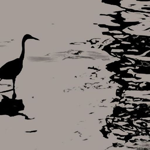 Peking Spring w/ Jon K - 15th May 2025
