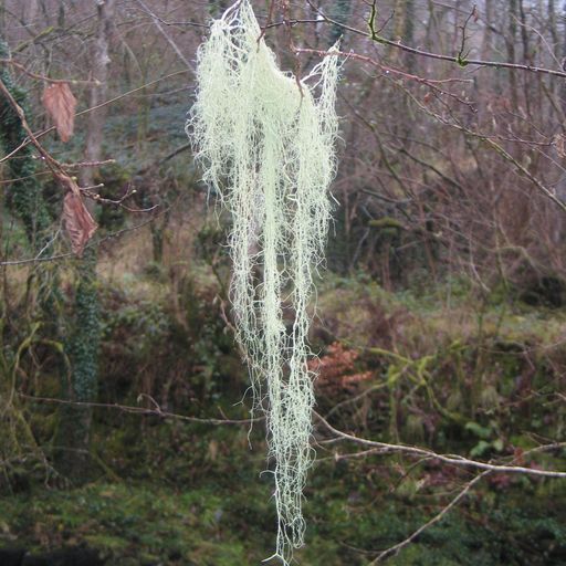 Ellie Morgan-Clegg - 13/12/25 [Voices Radio]