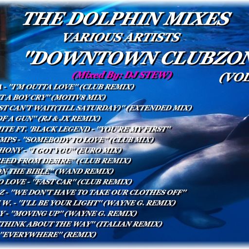 THE DOLPHIN MIXES - VARIOUS ARTISTS - ''DOWNTOWN CLUBZONE'' (VOLUME 2)