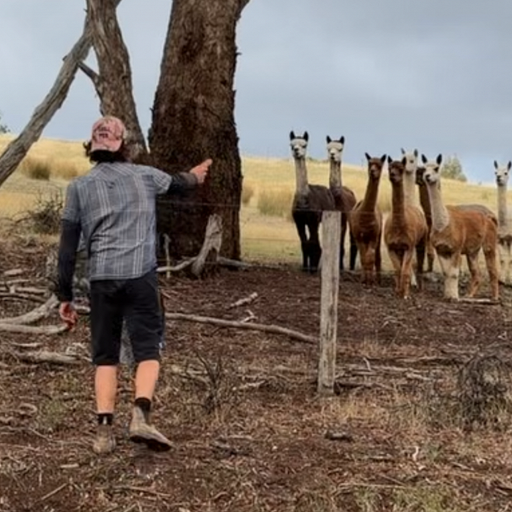 Andras - 22nd April 2026