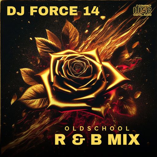 DJ FORCE 14**I WONDER IF I TAKE YOU HOME**R&B MIX BAY AREA*NorCAL**408*