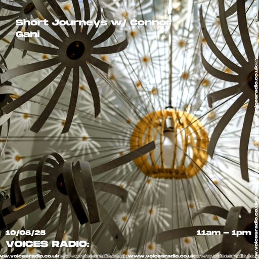 Short Journeys w/ Connor Gani - 10/08/25 - [Voices Radio]
