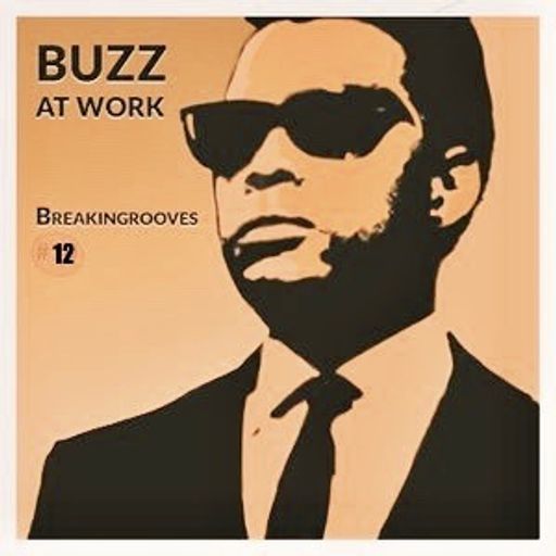 BUZZatWORK(BreakinGrooves.12)