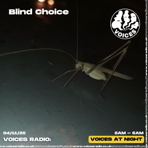 Blind Choice - 04/11/25 - [Voices Radio]