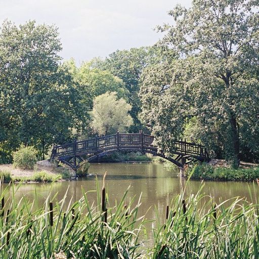 REST YOUR WINGS W/ GUULEED - 3rd January 2026