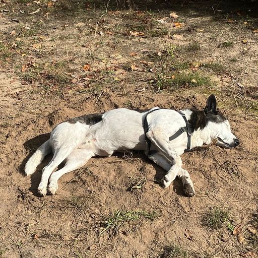 A Month of Sundays w/ Bill Spencer - 25th October 2025