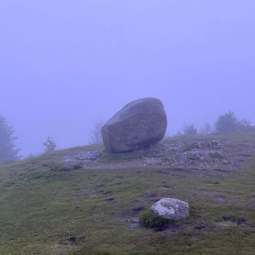 Dawn Chorus w. HEARDMAN - November 2025