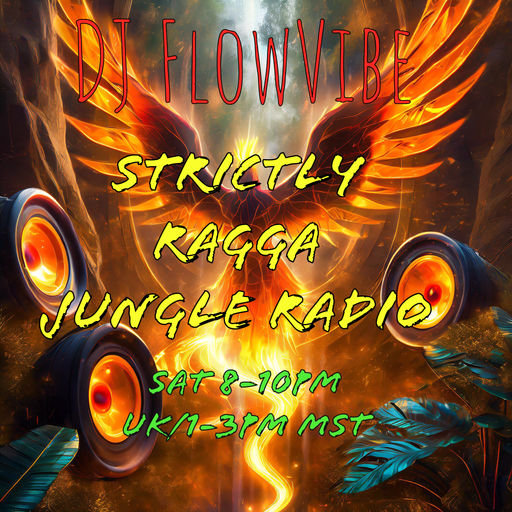 DJ FlowVibe - SRJ Radio Live - June 8/2024