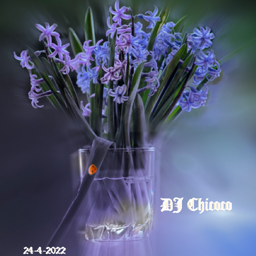 ""Forest Hyacinth"" chillout & lounge compilation