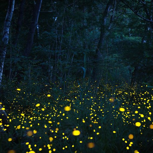 My LateNight Tales part 6