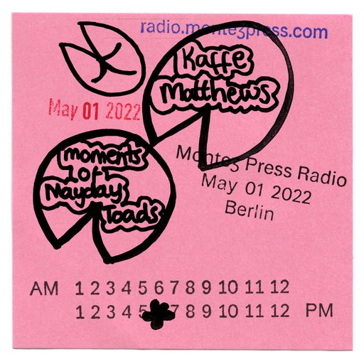 Cashmere Specials Kaffe Matthews plays live for the Montezpress x Cashmere Summit/Elope 01.05.2022